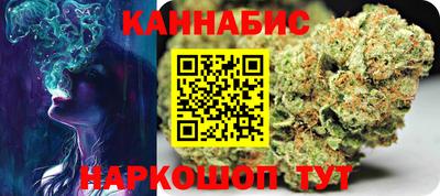 индика Михайловск