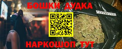 индика Михайловск