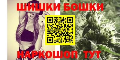 индика Михайловск
