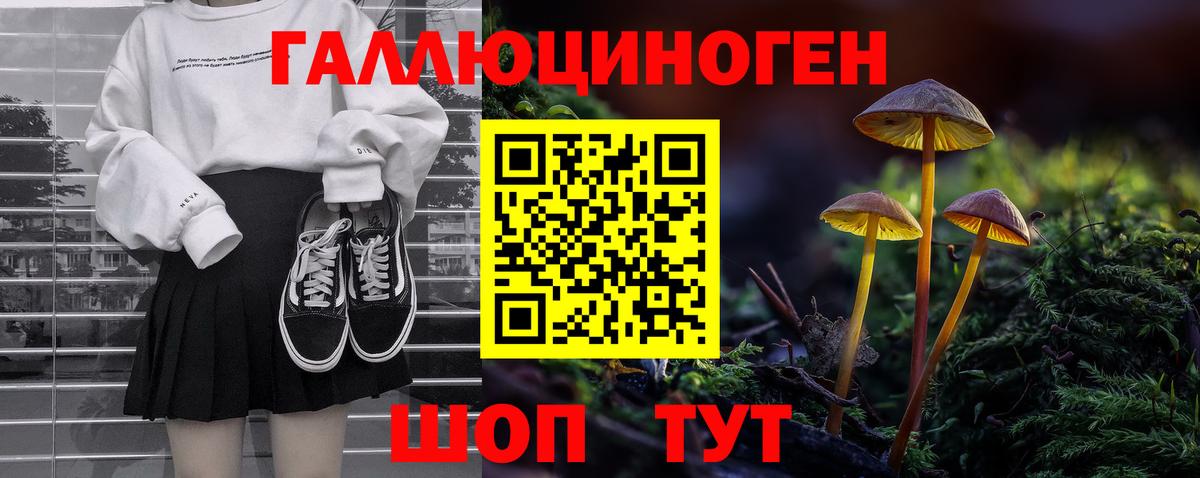 Галлюциногенные грибы Psilocybe Выкса